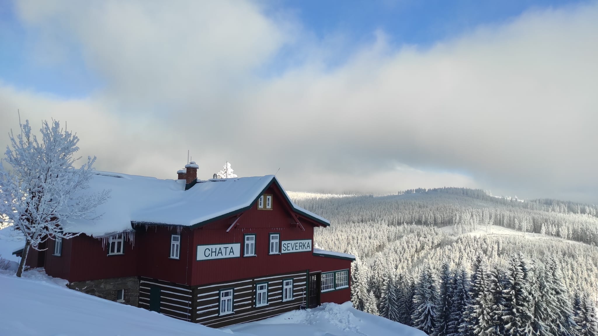 Restaurování nábytku